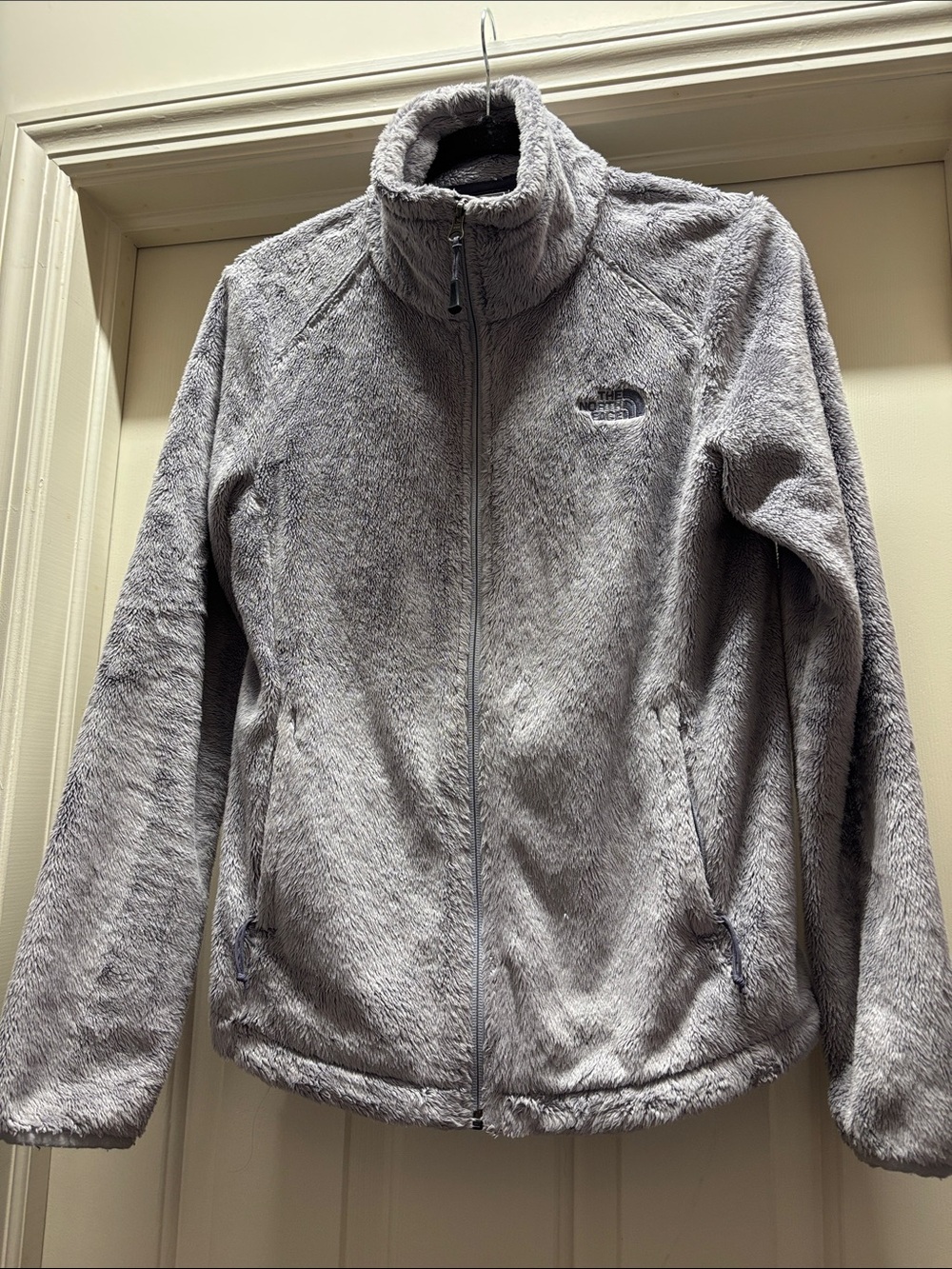 The North Face Women's Light Gray Plush Fleece Full-Zip Jacket
